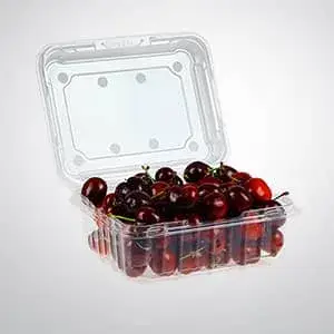 Контейнеры с крышкой и без крышки